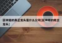 区块链的真正龙头是什么公司[区块链的概念龙头]