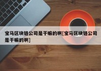 宝马区块链公司是干嘛的啊[宝马区块链公司是干嘛的啊]