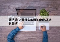 区块链fbf是什么公司[fabric区块链是啥]